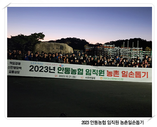 안동농협 임직원 농촌일손돕기 대표이미지